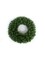 20" Northern Spruce Wreath with 200 Tips - Set of 12, Lush Holiday Decor, Ideal for Christmas Displays & Arrangements - Perfect for Home, Office - 2024 Christmas Collection, Floral Home by Artificial Flowers